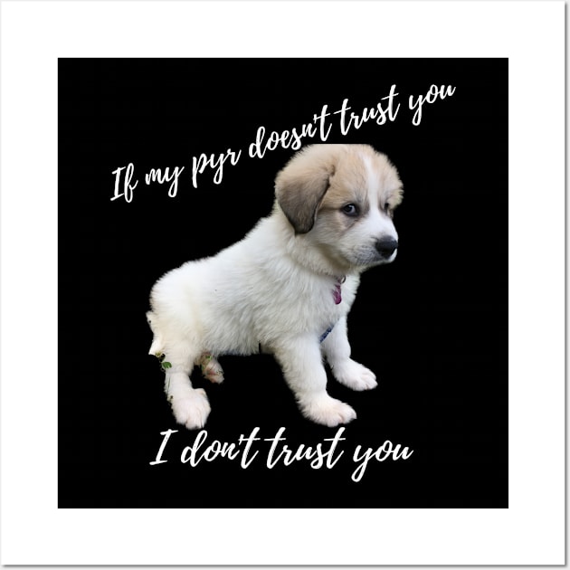 If my pyr doesn't trust you, I don't trust you Wall Art by rford191